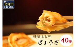 麺屋はる吉 冷凍ぎょうざオリジナル 40個入×1袋 ( 加工品 餃子 ぎょうざ 北海道 ふるさと納税 ギョーザ )【082-0005】