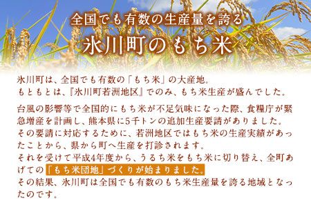 蓮華の花園(もち米) 5kg 精米 JAやつしろカントリー利用組合 熊本県 氷川町《30日以内に出荷予定(土日祝除く)》---hkw_jac_1_5kg---