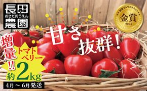 増量約2kg！甘さ抜群!!トマト嫌いでも食べられるトマトベリー 4月～6月発送 　H004-147