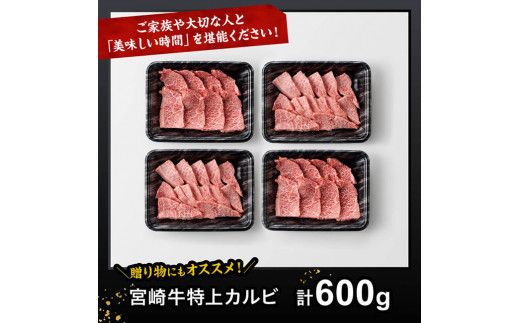 宮崎牛 特上カルビ 焼肉用 （三角バラ） 合計600g【 肉 牛肉 国産 宮崎県産 黒毛和牛 特上 カルビ 】[D11420]