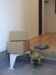 BA-188 ステップデルタ　ピンク