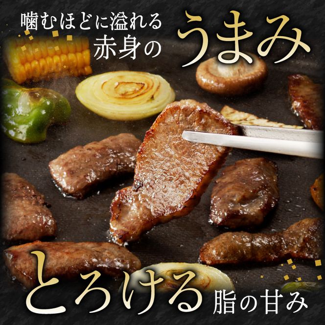 宮崎牛焼肉　450g（A5等級）　N061-ZA708