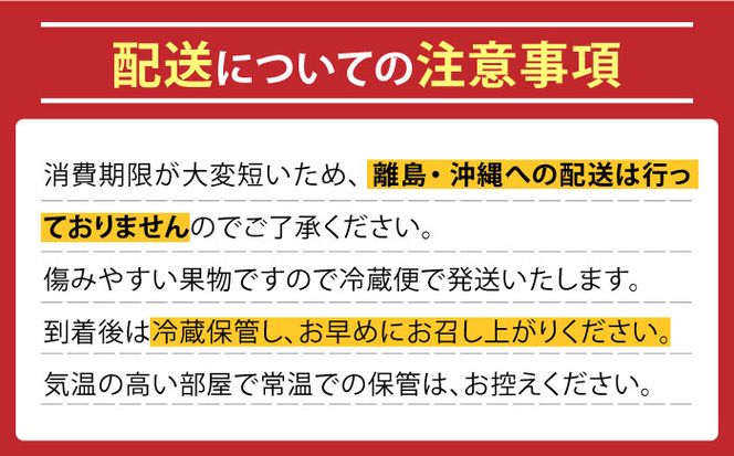 【2026年6月〜発送】どちらが届くかはお楽しみ！温室桃 約1kg / 日川白鳳 or ももか / 桃 もも フルーツ 果物 / 南島原市 / 川田農園 [SAP002]