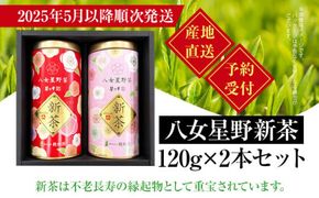 【予約返礼品/2025年5月以降順次発送】新茶 八女星野茶 120g×2本 緑茶 八女茶 お茶 茶葉 セット お取り寄せグルメ お取り寄せ 福岡 お土産 九州 福岡土産 取り寄せ グルメ 福岡県