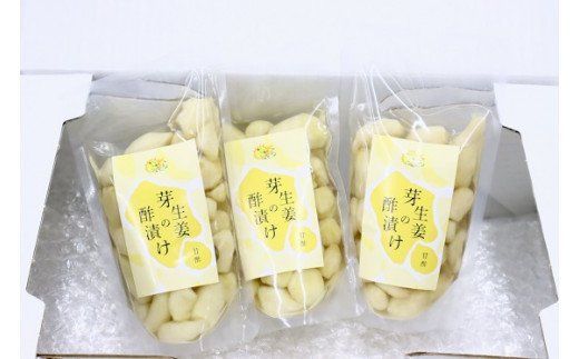 芽生姜の甘酢漬け 3パック