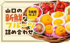 D239 ぶちうま！山口の新鮮フルーツBOX