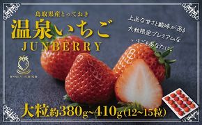 1610 鳥取県産とっておき「温泉いちごJUNBERRY」