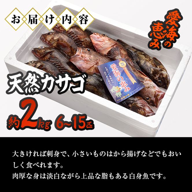 天然 カサゴ (約2kg・計6-15匹) 直送 産直 漁師 魚 鮮魚 天然 カサゴ 白身魚 獲れたて 刺身 煮つけ フライ 唐揚げ 塩焼き 冷蔵 豊後水道 鮮魚 大分県 佐伯市【CS15】【 (有)丸昌水産】