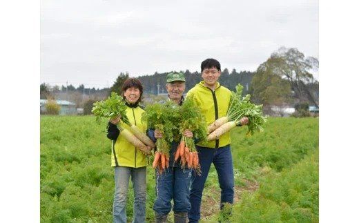 OGAWA'N　野菜セットの定期便（年12回） [JA埼玉中央 埼玉県 小川町 138]