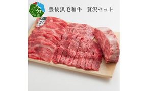 【A01049】豊後黒毛和牛贅沢セット約2.6kg