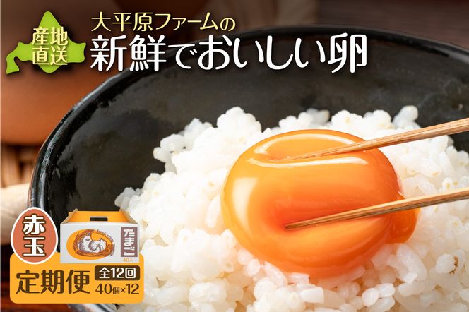 ykCzy12ցz啽t@[̐VNł v40(ԗ)×12_S035-0018