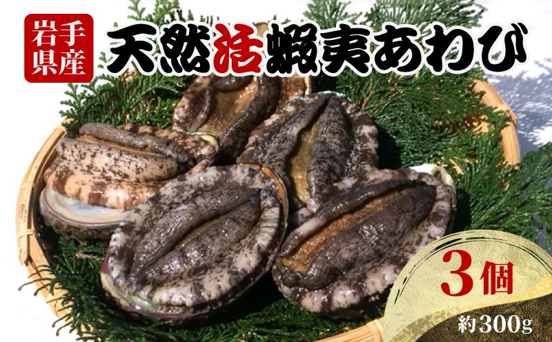 岩手県産 天然活あわび3個(約300g) 三陸産 蝦夷あわび [56500443_2]