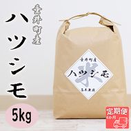 AO-9a 【6か月定期便】岐阜県産ハツシモ5kg