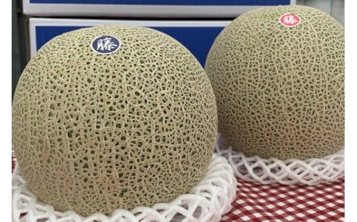 【先行予約】オリジナルブランド藤右衛門メロン2玉 芳醇な薫り緻密な果肉 爽やかな甘みをぜひお楽しみください ※離島への配送不可 ※2026年5月下旬～6月下旬頃に順次発送予定