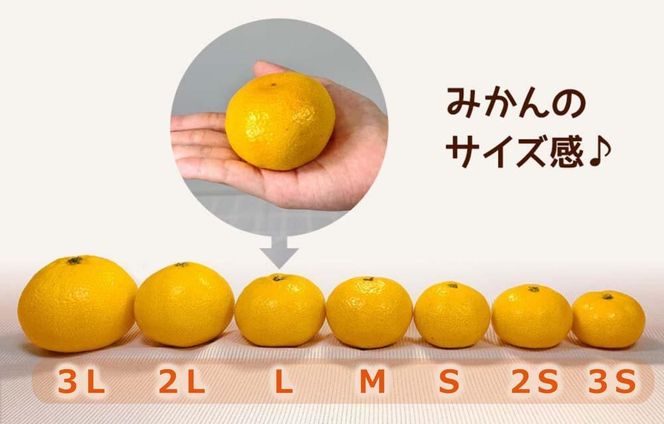 訳あり ゆら早生 みかん 箱込2.5kg (内容量 2.3kg)サイズミックス 有田みかん 和歌山県産 【みかんの会】［2026年10月下旬頃より順次発送予定］ AX315