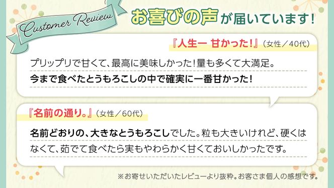 朝採り 農家直送 とうもろこし 6kg 「 おおもの 」【 先行予約2026年7月中旬以降発送】 トウモロコシ スイートコーン コーン 野菜 大粒 大きい 新鮮 甘い 高糖度 サラダ 八千代町産 茨城県産 産地直送  [AX027ya]