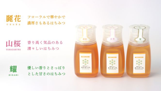 【 数量限定 】山桜 はちみつ と春の 田舎はちみつ の 3種 ギフト セット [ B3山桜 280g ]（ 茨城県共通返礼品： 五霞町 ） 生ハチミツ 蜂蜜 非加熱 茨城県産 国産 天然 純粋 贈答用 [EG002us]