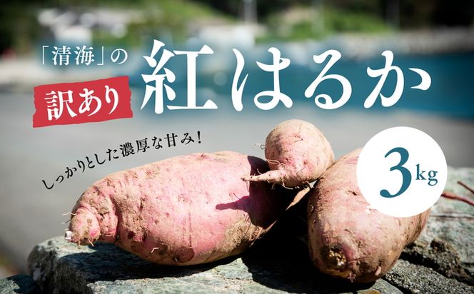 【訳あり】さつまいも 紅はるか3kg（生果） ｜ さつまいも サツマイモ 焼き芋 国産 産地直送