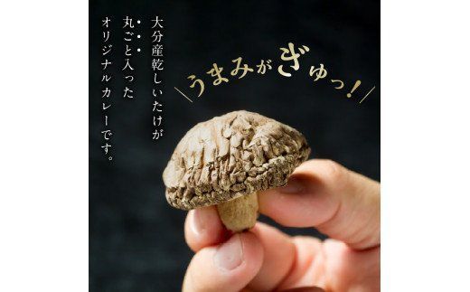 【F07026】豊後きのこカレー