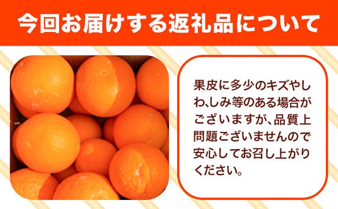 ＜先行予約＞【ご家庭用訳アリ】 紀州有田産清見オレンジ 7.5kg 株式会社魚鶴商店《2025年3月上旬-4月上旬頃出荷》 和歌山県 オレンジ 柑橘 ご家庭用---wsh_utr10_ad34_23_16000_7500g---