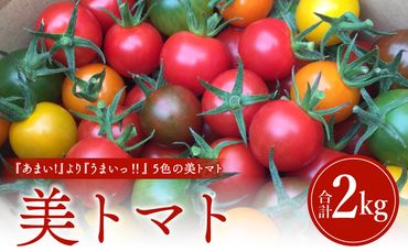 美トマト（5色）２kg_M317-003