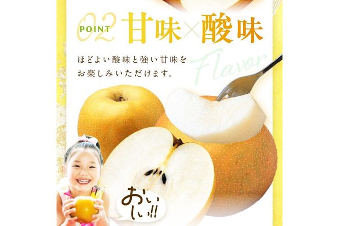 【先行予約／数量限定200】京丹後産 あきばえ梨 5kg（14～18玉）（2026年8月中旬～発送）　DE00162