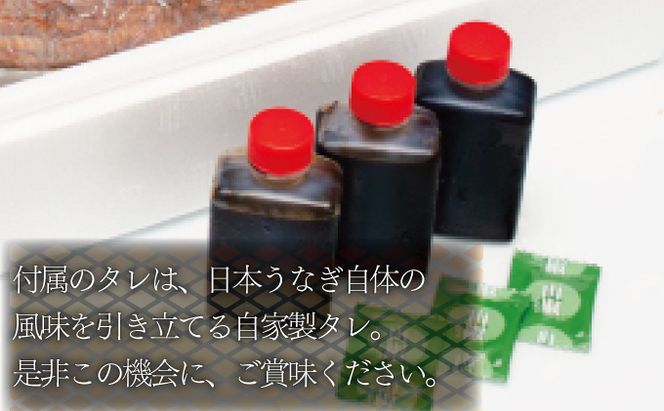 うなぎ蒲焼 3尾セット（合計600g以上） F-124