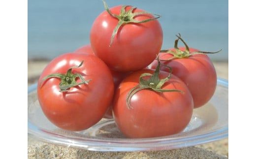 E067 蜂蜜屋さんの手作りハニージャム