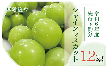 【☆先行予約☆2024年/令和6年発送分】シャインマスカット ２房　１.２㎏相当　AD-239