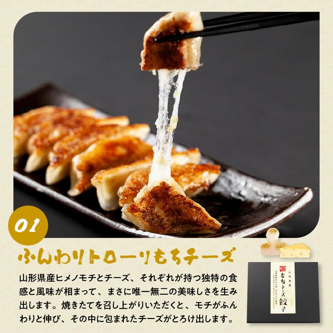 ひろしの餃子 満喫セット（もちチーズ餃子10個、特製餃子16個、えび餃子20個）　A-0833r