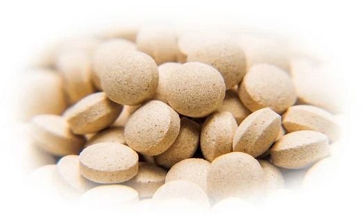 O-11 冬虫夏草　源氣（とうちゅうかそう　げんき）×5個組