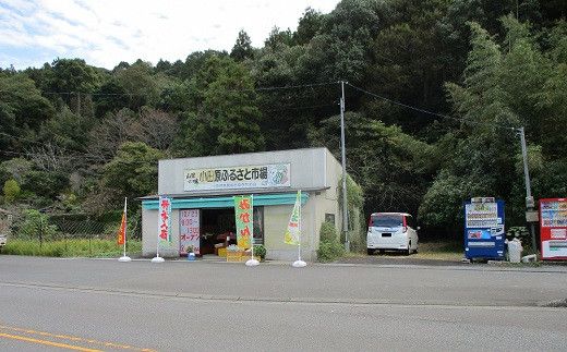 B2-37 原木栽培 しいたけパウダー 3袋 大分県豊後高田市産