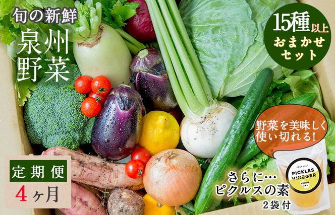 G938 旬の新鮮 野菜セット（15種以上）定期便 全4回 おまかせ ピクルスの素付き ファミリー向け いずみピクルス NSW【毎月配送コース】