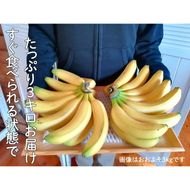 超希少！国産完熟バナナ（モッチリ系の品種）たっぷり3kg すぐ食べられる状態でお届け！