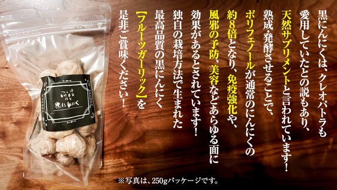 黒にんにく ( フルーツガーリック ） 詰め合わせ 250g （10〜13個） にんにく 黒ニンニク ガーリック 有機栽培 オーガニック [CW10-NT]