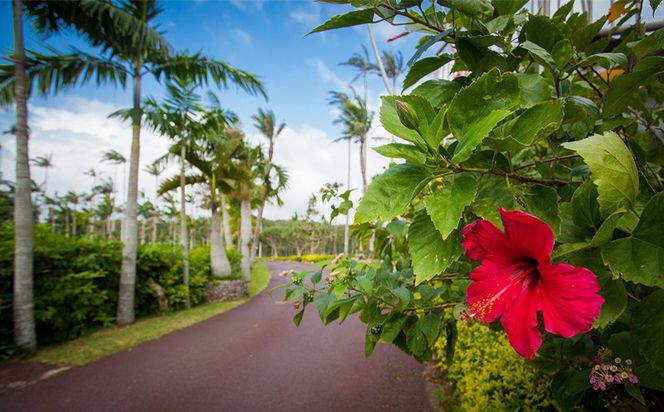 沖縄県観光スポット「東南植物楽園」入園券＜大人・中人＞