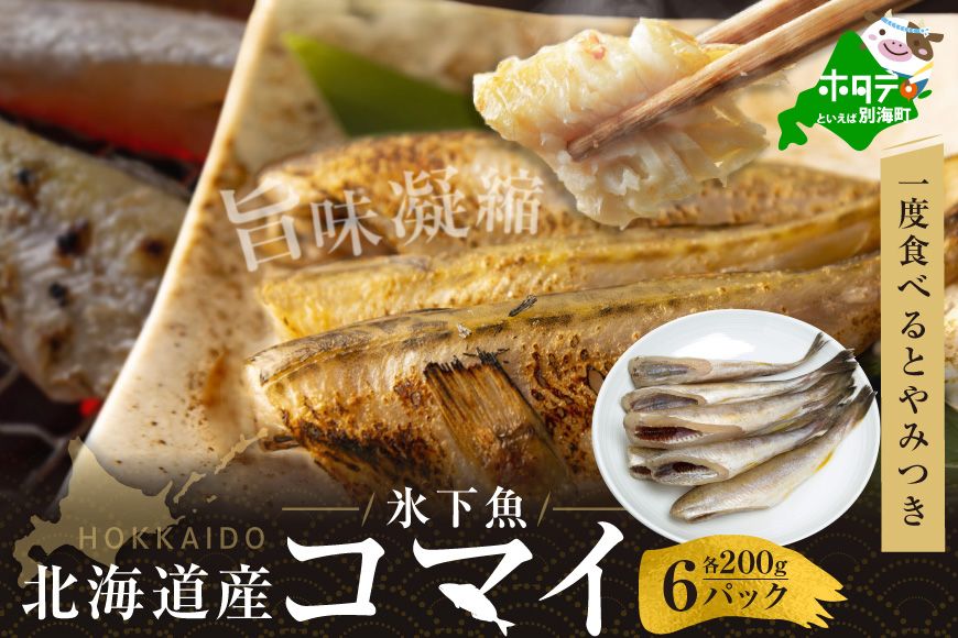 [CF]北海道 産 干し こまい [ 200g × 6パック ]