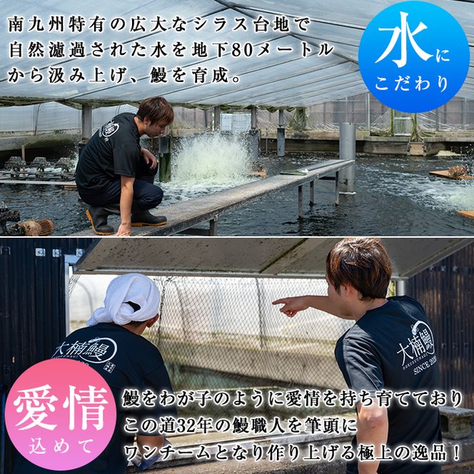  ＜入金確認後、2週間以内に発送！＞【数量限定】うなぎの大楠＜小＞2尾セット計220g以上(110g以上×2) a0-244-2w