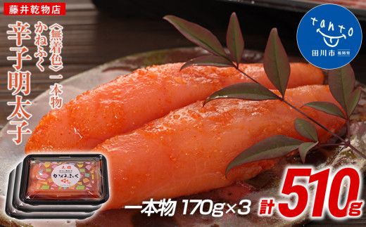 ycsz˂ӂ 510gqFrhqq 170g×Ri{j