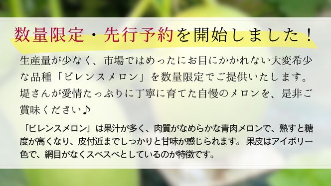 【 先行予約 5月下旬以降発送 】 令和8年産 ビレンス メロン 約2kg 1箱 2玉入り めろん 期間限定 産地直送 果物 フルーツ 青肉 甘い 新鮮 希少 ギフト [AV007ya]