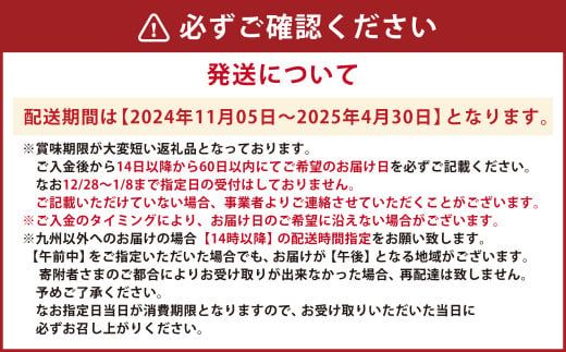 【指定日必須】天草産 活車海老 600g（15～25尾入り）活き海老 車エビ【発送期間2024年11月05日から2025年4月30日】