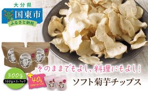 【今だけ増量】そのままでもよし、料理にもよし！ソフト菊芋チップス300g+40g_1935R