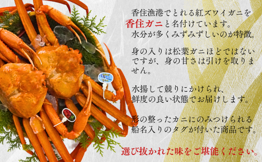 【先行予約】【香住ガニ（生）大 タグ付き 約800g×2枚 冷蔵】令和7年11月以降発送予定 漁協から配送日調整の電話が入ります 蟹 紅ずわいがに ベニズワイガニ 兵庫 香美 香住 遊魚館 03-07