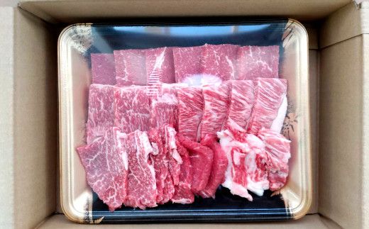 肥後の 赤牛 焼肉用 500g 焼き肉 牛肉 お肉 あか牛 国産 九州産