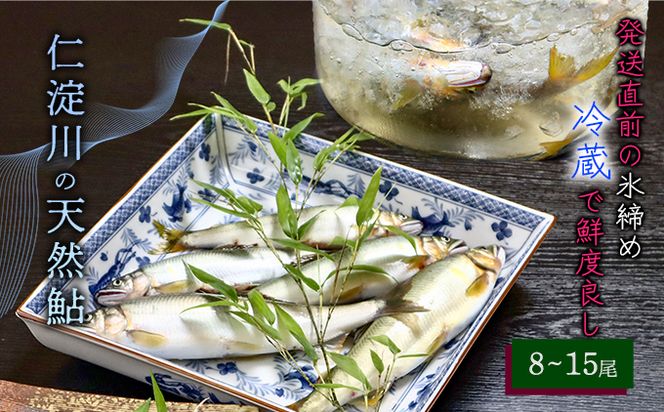 【6月から9月の発送】仁淀川の天然鮎（８匹～15匹）★冷蔵
