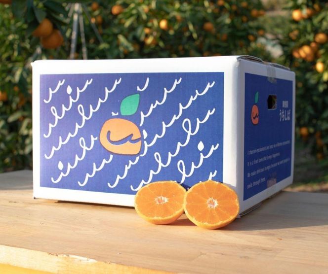 和歌山県産 濃厚な甘さ 完熟有田みかん 10kg 農家直送   	DX009