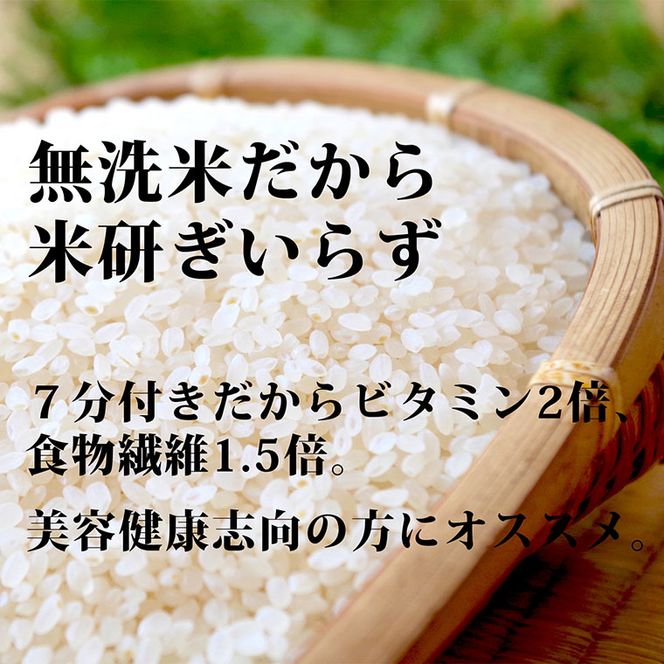 ななひかり米 5kg 【 無洗米 】 米 こしひかり コシヒカリ こめ