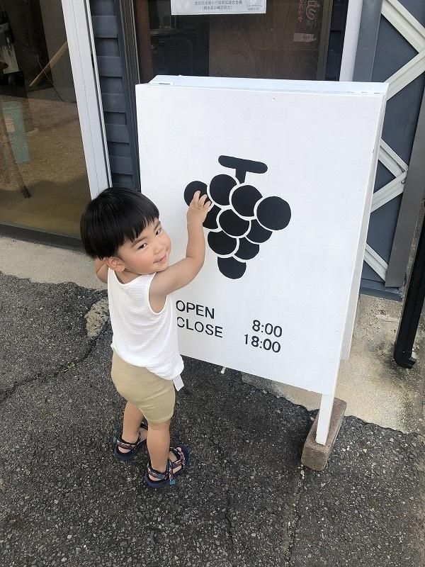 【2026年先行予約・数量限定】朝採り 巨峰「種あり」 訳あり品 約２kg＜2026年8月中旬～発送＞ 232238_AV009-PR