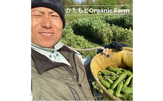 甘～い そら豆 2kg【期間限定】京都府・亀岡産 自然栽培のかたもとオーガニックファームよりお届け ※2026年5月上旬～6月上旬頃に順次発送予定 ※離島への配送不可