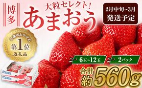 大粒セレクト！大人気のあまおう　福岡県産いちご　280g×2パック【2025年2月中旬～3月中旬発送】_HA0277